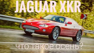 Jaguar XKR -- автомобиль дождя