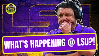LSU Football - WHAT Is Happening? (Late Kick Cut)