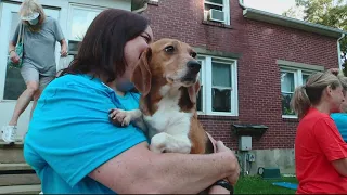 'It's a wonderful day' | First group of beagles rescued from VA breeding facility