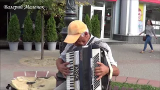 Nie Spoczniemy!!! кавер (Северин Краевский) играет дедушка ВИТЯ!!! Street! Music!