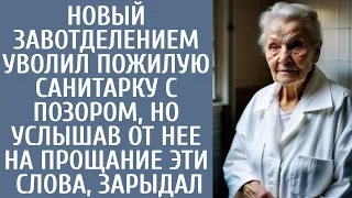 Новый завотделением уволил пожилую санитарку с позором, но услышав на прощание ЭТИ слова, зарыдал