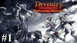 Divinity Original Sin Enhanced Edition #1 | Aww Rats