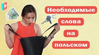 Польские слова на каждый день. Учим на практике.