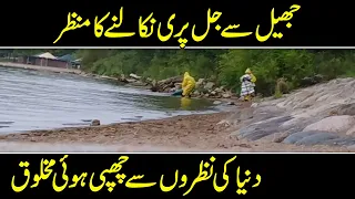 5 Mermaids Caught On Camera - Mermaid Real Life Proof - Jalpari In Urdu - Mysteries Of Ocean