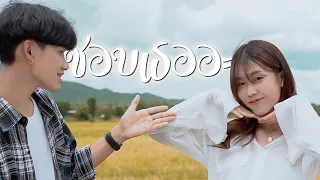 PtrpStudio - ชอบเธออะ (Remix Version) [OFFICIAL MV]