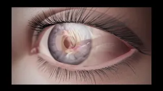 Eye Anatomy Presentation