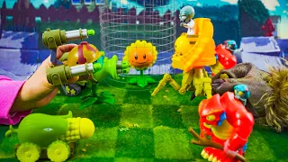 Plants Vs Zombies ：Saving Princess Sunflower.