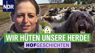 Josefine Schön zieht mit ihren Schafen auf die Sommerweiden | Die Nordreportage: Hofgeschichten (176