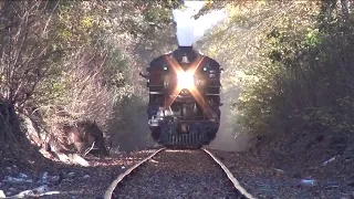 R&N 425's Autumn Leaf Excursion (in HD)