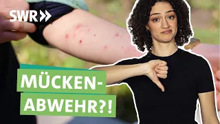 Mückenstiche: Was hält Mücken wirklich fern? I Ökochecker SWR