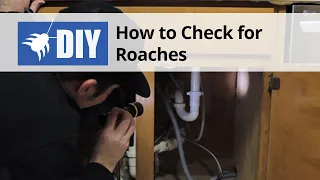 Cockroach Inspection - Learn Where Roaches Hide