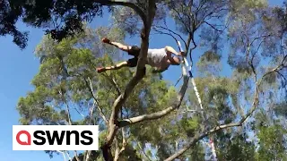 Aussie pole vaulter practices jumps by leaping over a TREE | SWNS