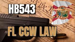 Florida's New Concealed Carry Law Explained by Florida Gun Lawyer