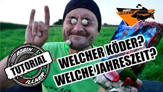 SO FÄNGST DU IMMER KARPFEN! JAHRESZEITEN & KÖDER im CHECK!