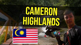 Cameron highlands: The tea plantation wonderland of Malaysia