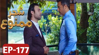 Shajar-e-Mamnu Episode 177 Promo | Turkish Drama | Forbidden Fruit | UrduDubb| 12Aug 2021 |P-4