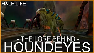 Half-Life: The Lore Behind Houndeyes