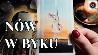 Nów Księżyca w BYKU ♉ Tarot DLA KAŻDEGO ZNAKU