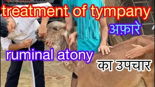 treatment of tympany l bloat l अफारे का उपचार l impaction of rumen l dr umar khan