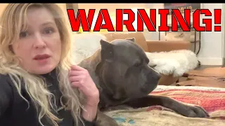 This is DANGEROUS for your CANE CORSO Dog!