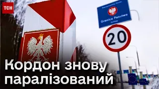 😠 Одна вантажівка на годину!? Чому польські фермери знову СТРАЙКУЮТЬ?