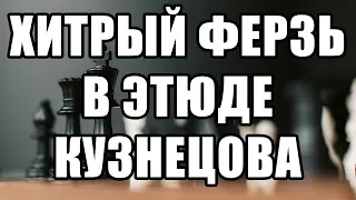 Манёвренный ферзь. Шахматы этюд. Шахматные этюды. Ферзь, король и пешка. Решение задач по шахматам.