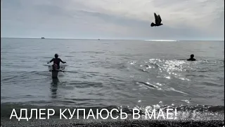 АДЛЕР ВСЕ КУПАЮТСЯ! ОБЗОР МОЕГО ОТЕЛЯ! СТОЛОВАЯ ЩИ БОРЩИ!