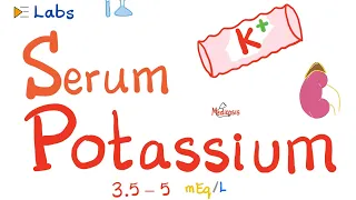 Serum Potassium | Hyperkalemia & Hypokalemia