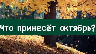 Счастье внутри каждого❤️🍀