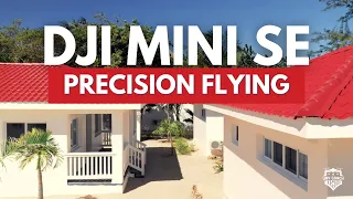 DJI Mini SE Beginner's Guide | Precision Flying