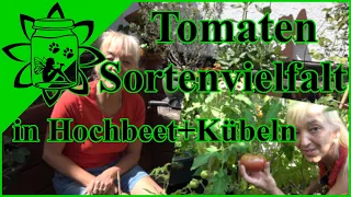 Tomaten pflanzen | Tomatensorten | Tomaten in Töpfen Kübeln | Tomaten im Hochbeet | Garteneinkochfee