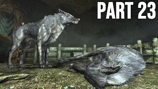 Let's Play Skyrim Anniversary Edition Part 23 - The Pure-Evil / Survival Mode Playthrough!