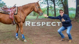 How To Get A Horse To RESPECT You! (3 Exercises)