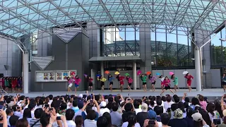 ダンスパワーSAKAI 登美丘高校ダンスクラブ TDCジュリアナ フルVer.