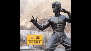 World Wide Bruce Lee