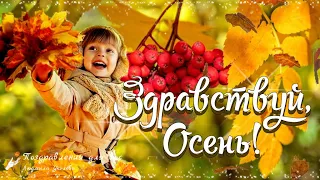 🍁 Доброе Осеннее Утро! Здравствуй, Осень! С первым днем Осени!