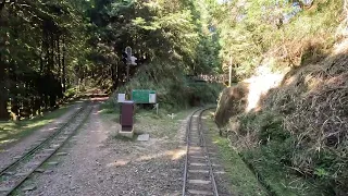 【Alishan Forest Railway】Cab Ride, Alishan to Chushan｜祝山線路程景(阿里山-祝山)