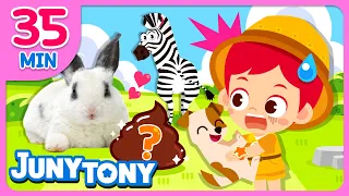 🐰💩 Why Do Rabbits Eat Their Own Poo? | Animal Songs Compilation | Kids Songs | JunyTony