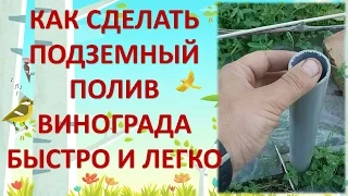 КАК СДЕЛАТЬ ПОДЗЕМНЫЙ ПОЛИВ ВИНОГРАДА. Выращивание винограда. Полив винограда.