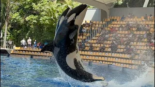 Orca Ocean (Full Presentation) April 25, 2023 - Loro Parque, Tenerife, Spain