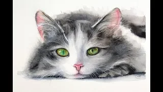 Cat Painting in Watercolor Fur and Whiskers (Real time on Patreon)