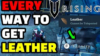 V Rising Leather Location