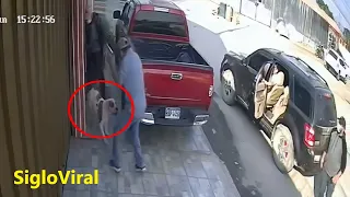Pitbull Defends His Owner From Thieves