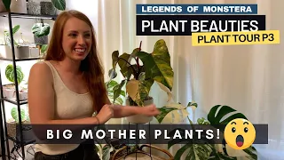 P3. Plant Tour with HUGE Philodendron Strawberries & Variegated Monstera | Plant Beauties Series