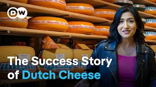 Why Dutch cheese is so famous