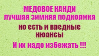 Feeding your bees with honey kandy is the best choice, but there are nuances to avoid.