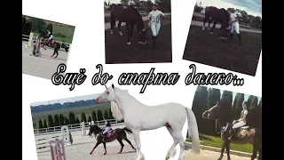 Еще до старта далеко ~Equestrian~