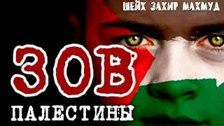 «Зов Палестины» - Шейх Захир Махмуд | www.taаlib.ru