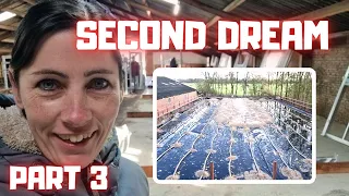 Second dream come true! And plastic in the arena | Friesian Horses Part 3