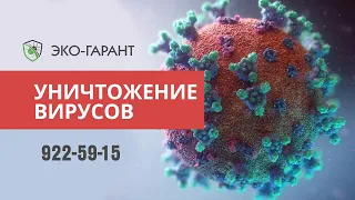 обработка помещений от вирусов